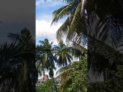 শরতের আকাশ❤️❤️#music #song #love #beauty #beautiful #sky #happy #autumn #beautifulaurum #tiyasha