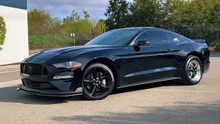 Mustang Paint Correction and ceramic coating - Black 5.0 GT