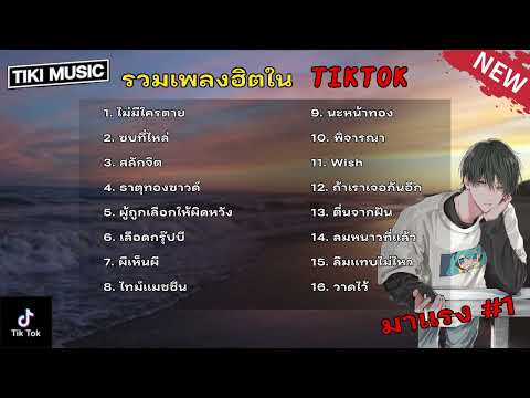 รวมเพลงฮิตในTikTok [ ไม่มีใครตาย + ซบที่ไหล่ + สลักจิต ] เพลงใหม่ล่าสุด2023