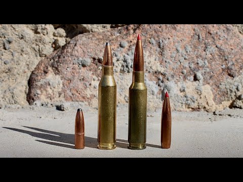 243 vs 6.5 Creedmoor: Which Is Best For You?