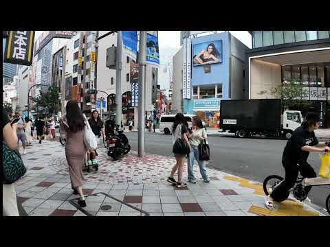 ドンキ