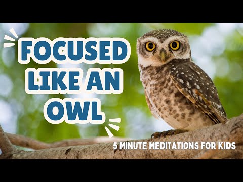 Focus Like An Owl || 5 Minute Meditation for Focus || Mindfulness For Kids ||