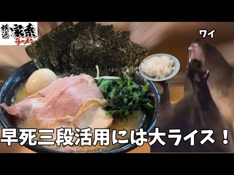 【 家系ラーメン】家系の早死に三段活用って美味いの？大ライスも一緒に食べて優勝しろ！！という話【とんこつ家】#猫ミーム #猫マニ