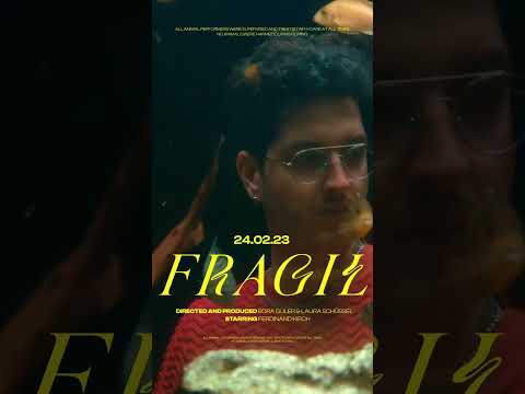Fragil und Album am 24.02   #album #release #fyi #fyp #recommended