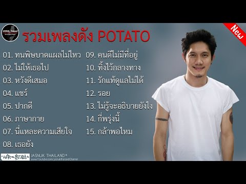 รวมเพลงฮิตเพลงดัง POTATO | ทนพิษบาดแผลไม่ไหว , ไม่ให้เธอไป , หวังดีเสมอ , เธอยัง