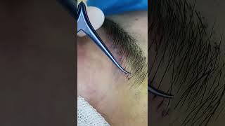 Microblading Magic: Flawless Brows Step by Step Part 108 #shorts #eyebrows #transplants #video