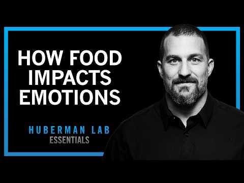 How Foods & Nutrients Control Our Moods | Huberman Lab Essentials