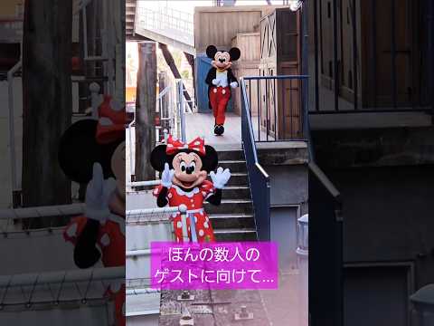 裏ジャンボリでしか見られないシーン💕 #ジャンボリミッキー#jamboreemickey #2024年11月 #mickey #minnie