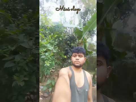 গৰু বিহু গধুলি😱#viralshort #minivlog #bihuvlog #assamese #zubeen#rangalibihu #bihu2024 #shorts #song