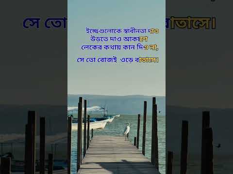 ইচ্ছেগুলোকে স্বাধীনতা দেওয়া উচিৎ #sorts #viral #quotes #bangla #sortvideo