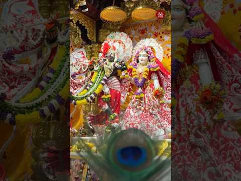 ĀMĀLĀKI EKĀDĀSHI Speciāl Darshan 10th March 2025 | ISKCON Attapur #iskcon #ekadshi #darshan #shorts