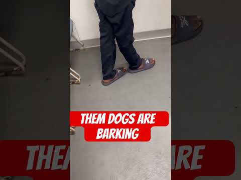 Running Man #trucking #viral #shorts