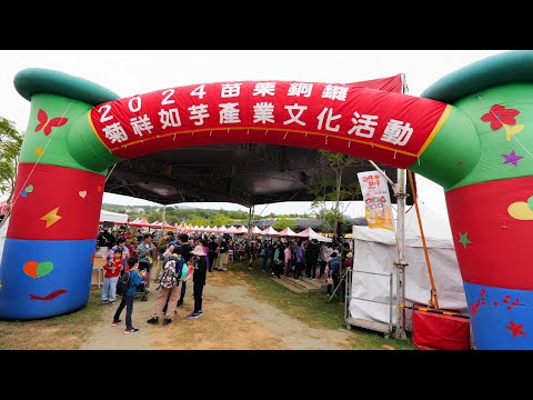 苗栗銅鑼2024杭菊芋頭節,農夫市集farmers market,Miaoli Tongluo Chrysanthemum Taro Festival,_20241123