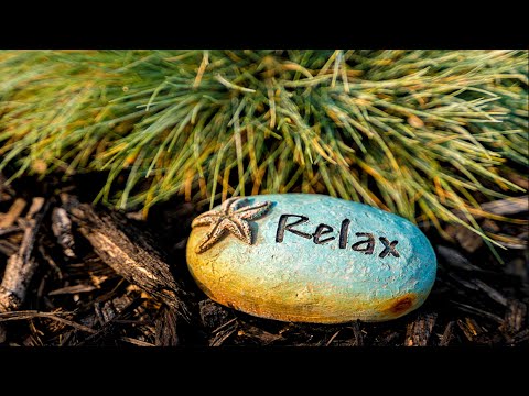 10 Minute Guided Meditation for deep Relaxation and positive Energy