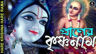 প্রাণের কৃষ্ণনাম || HARE KRISHNA HARE RAMA || #nonstopkirtan #banglakirtan #devotional #krishna