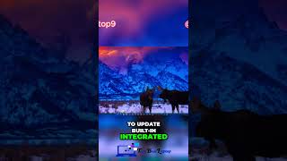 🍺🖥️Update Your Graphics Drivers and Boost Your PC Performance🚀 #BoostYourPC #GamingPC #TechTips