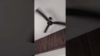 #FunnyShorts #ComedyShorts #FanModeOn #FanFunny #FanVibes #ComedyFan #FanReactions #CrazyFans