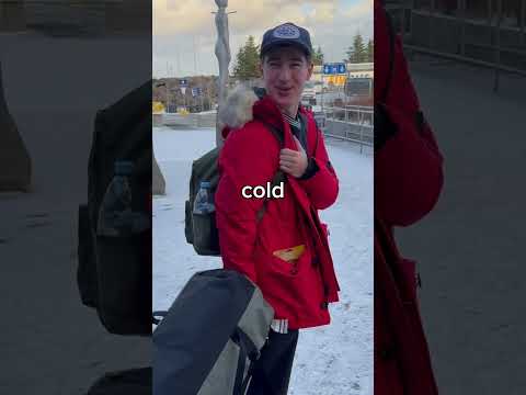 mrbeast Bring Me Back Snow From The North Pole mr beast
