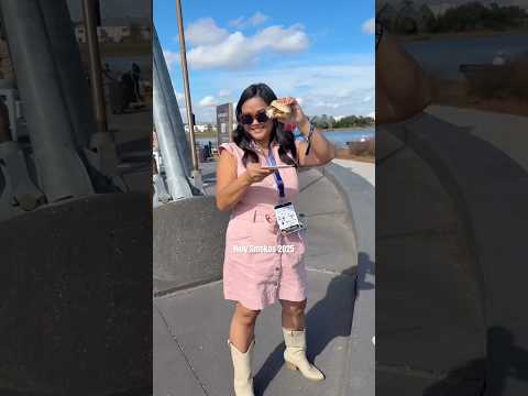 Holy Smokes 2025 #hogsforthecause #ronaldmcdonalhousecharleston #food festival #bbfestival