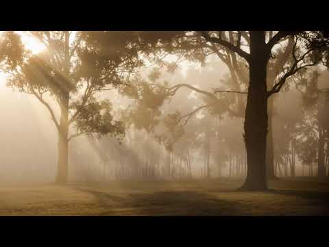 5 minute meditation. Relax your mined. Concentration,