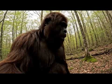 Bigfoot Vlog! Lost keys and need replacements? #funnybigfoot