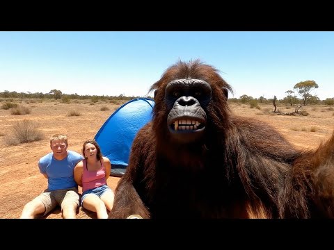 Bigfoot's Aussie Cousin - Bigfoot VLOG