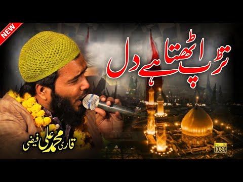 तड़प उठता है दिल लफ्ज़ों में दोहराई नहीं जाती| QariMohammad AliFaizi New Naat2024 Ali Faizi
