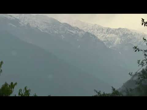 Triyuginarayan #shorts #Kedarnath #KedarnathValley #Ukhimath #Triyuginarayan