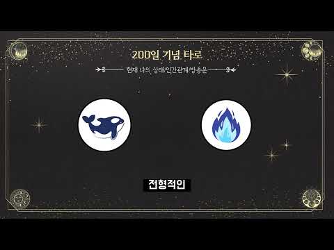 200일 기념으로 타로를 봤습니다! 그런데...