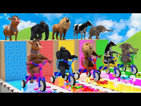 Long Slide Game With Elephant Cow Buffalo Gorilla Tiger - 3d Animal Game - Funny 3d Animals