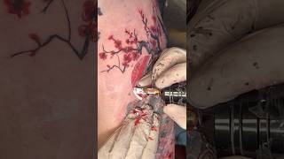 Dragon tattoo on biecep colorful