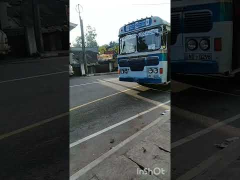 නිම්සද Express × ලුණුගල 99 කොළඹ S #shorts #2023 #trending  @LNRBUSKINGDOM-dl9ql #bus