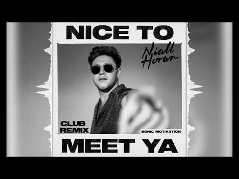 Niall Horan - Nice to Meet Ya (Club Remix)