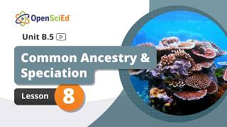 Unit B.5 Lesson 8 Planning Video | OpenSciEd On-Demand Resources