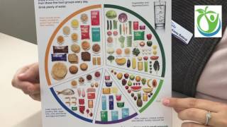 Overview of the Australian Guide to Healthy Eating