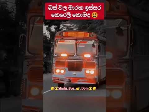කොහොමද ඒක...🤠💗 #shalu_bus_king_dom #lastrideoftheday #automobile #sinhalanewsongs #shortvideo