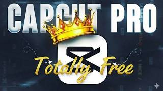 CapCut Pro Latest Update | Capcut No Internet & Too Many People problem ✅
