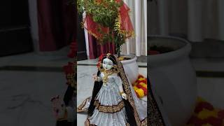 Tulsi Mata | Radha Rani #tulsi #bhajan #viralvideo #shorts #shyam #radheradhe #radhakrishna #yt #fyp