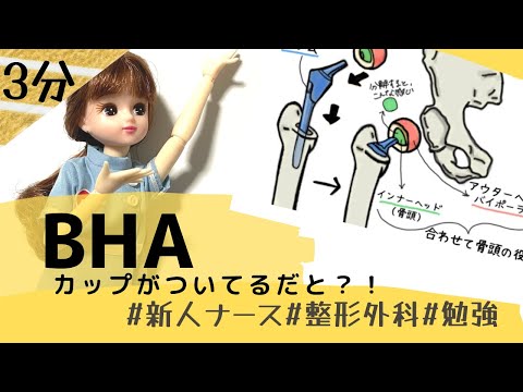 【BHAの豆知識！？】3分で疑問が解決☆＃整形外科＃看護師＃勉強＃新人看護師