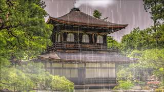 Peaceful Calm - RYTHYM OF RAIN (Calming Sound Of Rain And Music)