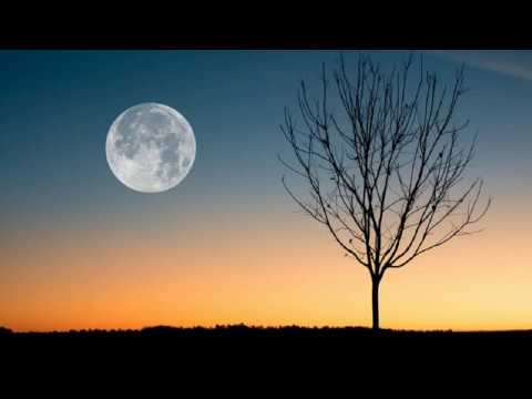 Anxiety Sleep Music Stress and Depression Relief (Latest)