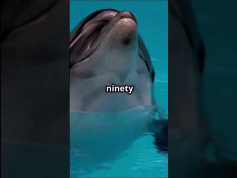 The Secret of Pink Dolphins... #interesting #facts #animals