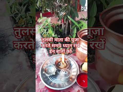 तुलसी माता की पूजा करते समय ध्यान रखें इन बातों को#shortvideo #tulsikeupay #vairalvideo #trendingsho