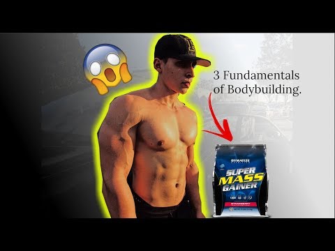 3 Fundmanetals Of Bodybuilding |AbrahanSanchez