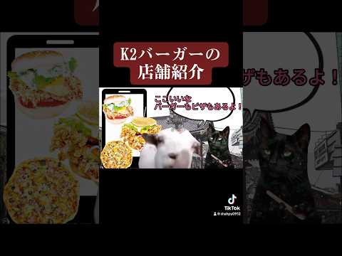 【猫ミーム】ハンバーガー屋に行く猫！【猫マニ】#猫ミーム