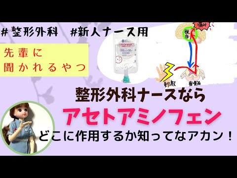 【鎮痛薬②】整形外科ナースならアセトアミノフェンどこに作用するのか知ってなきゃアカン！？#新人看護師