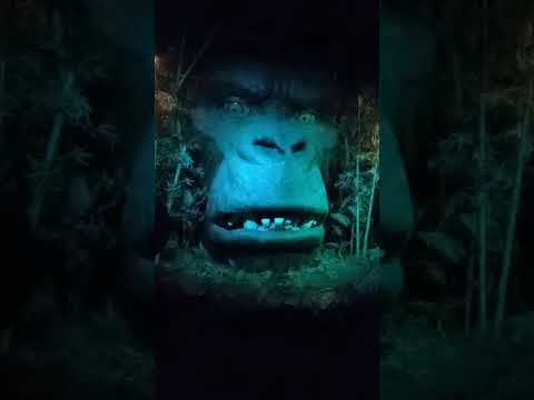 Gorilla