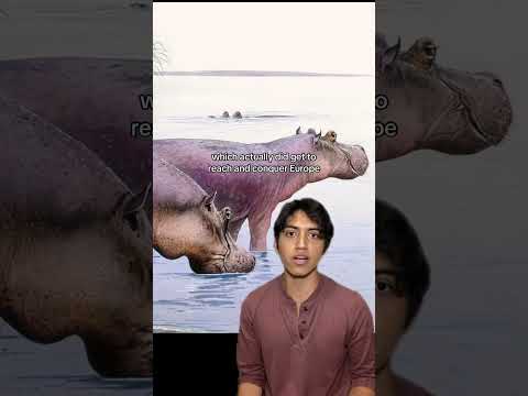 The Prehistoric Hippos #prehistoric #nature #animal #hippo #wildlife