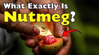 What Exactly Is Nutmeg? It Isn't What You Think