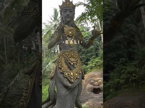 Best of Bali Indonesia 2024 🤩 #bali #ubud #shorts